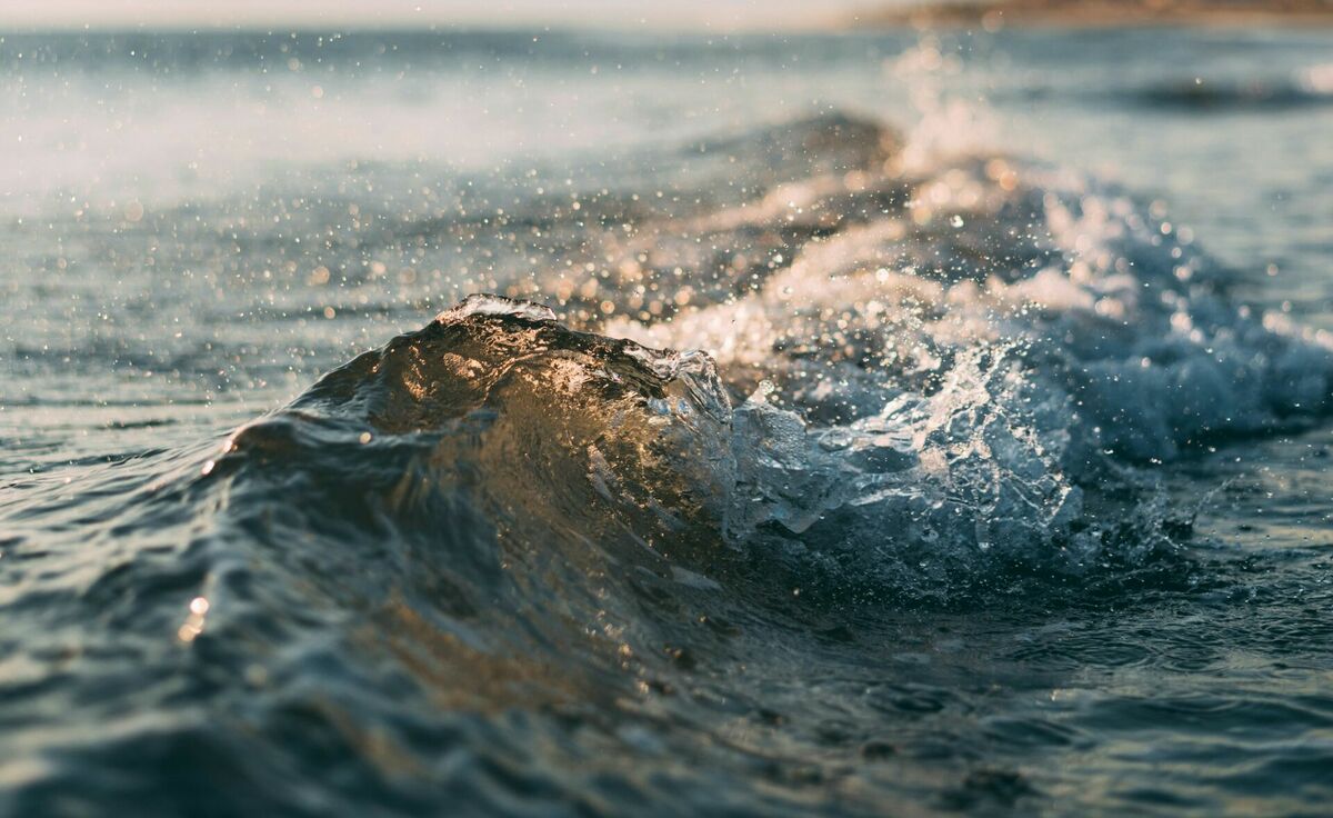 Foto: Unsplash