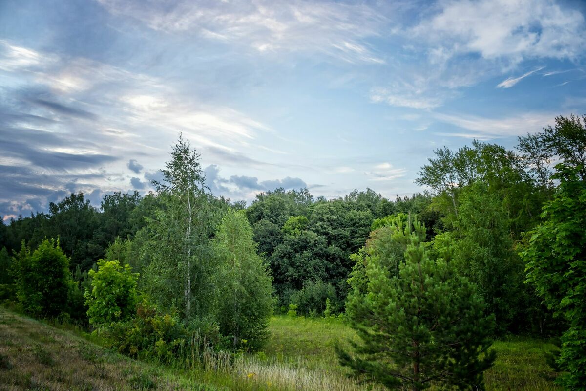 Foto: Unsplash
