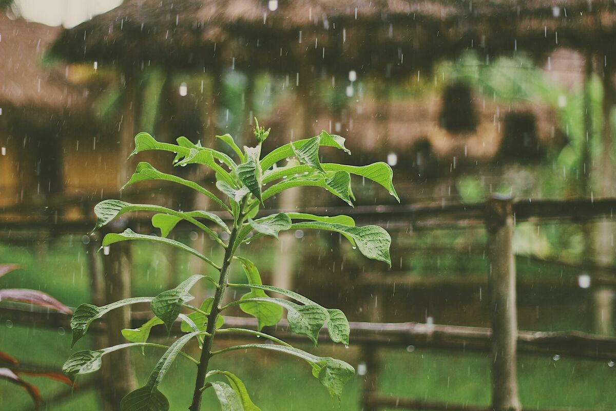 Foto: Unsplash