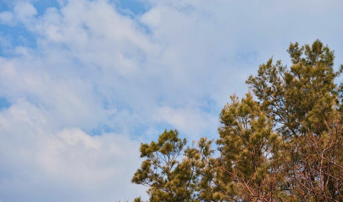 Foto: Unsplash
