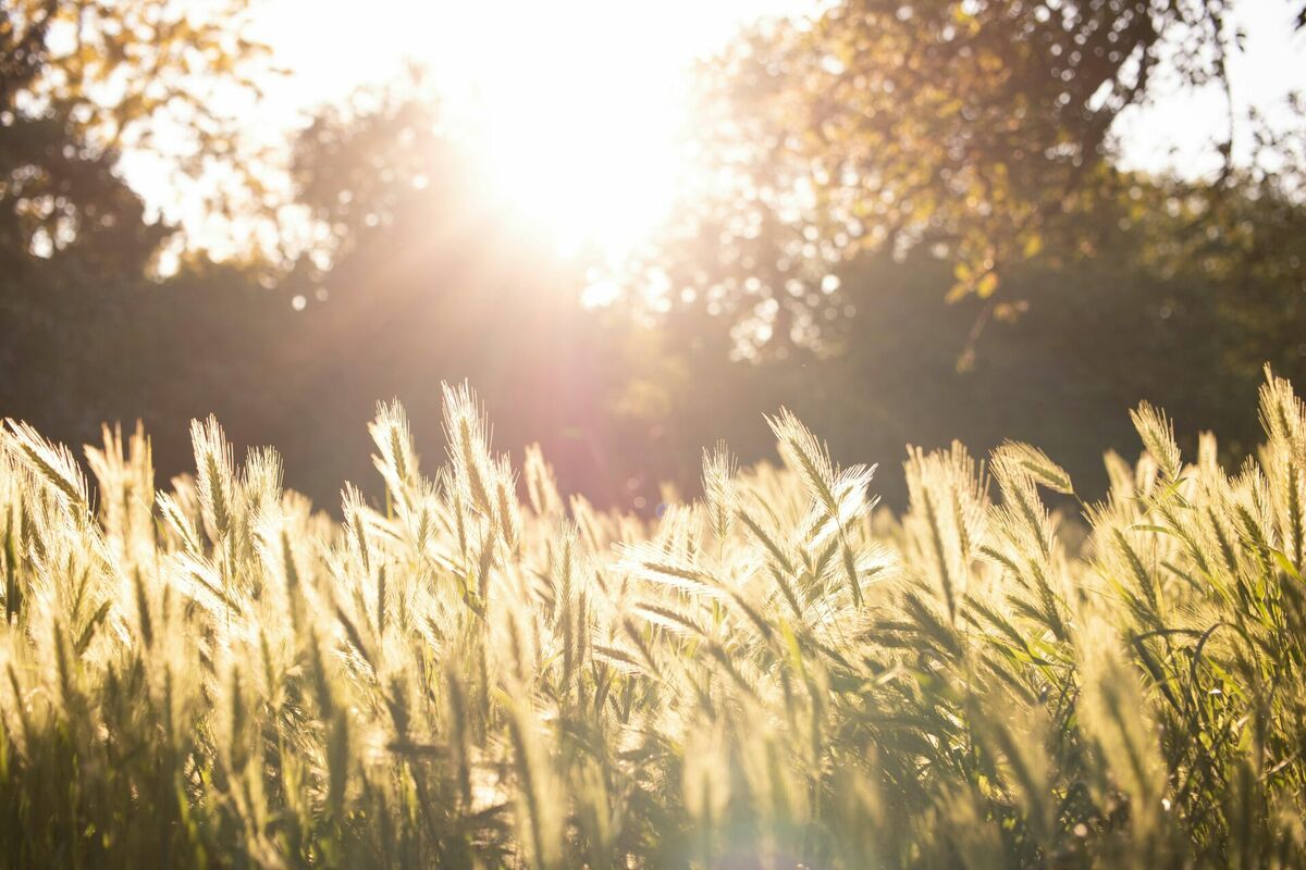 Foto: Unsplash