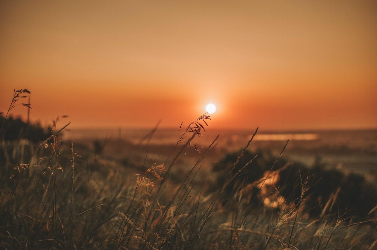 Foto: Pixabay