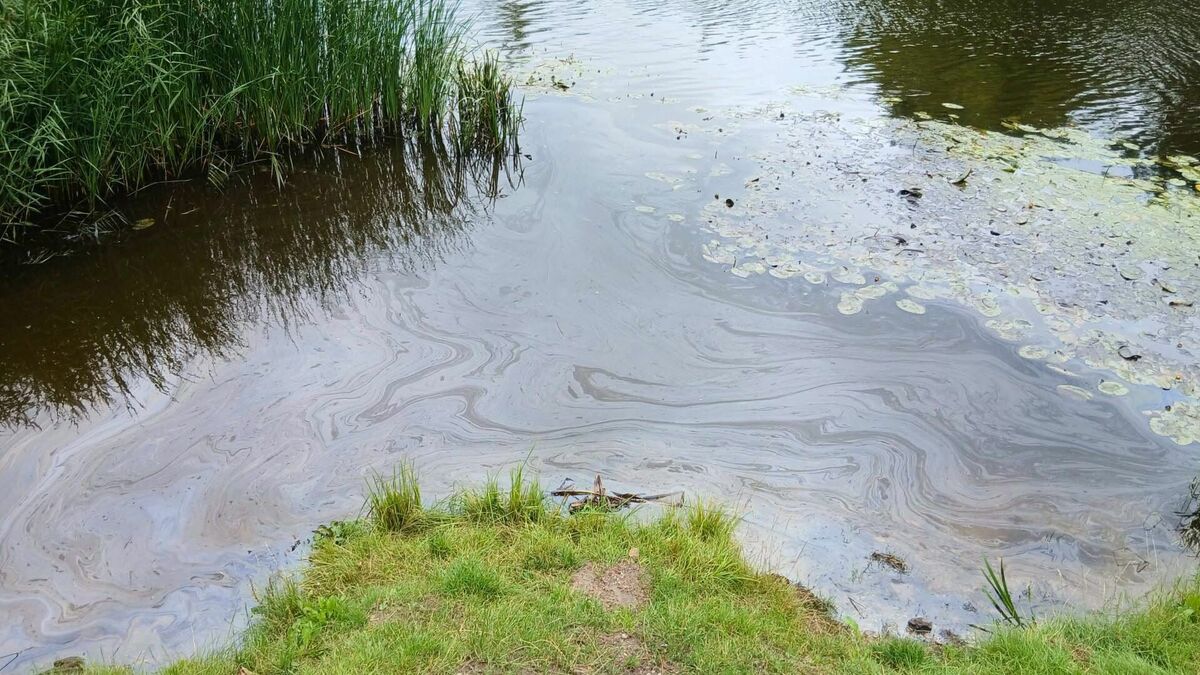 Foto: VVD