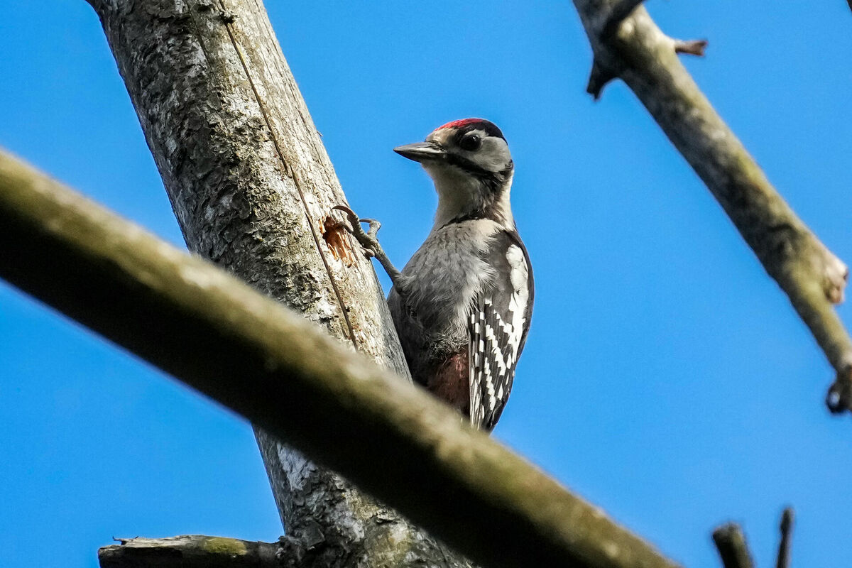 Foto: Edijs Pālens/LETA
