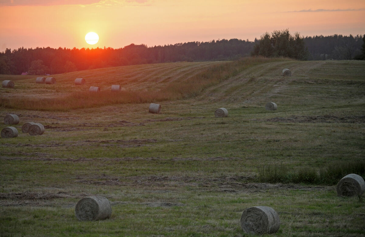 Lauku ainava ar saulrietu pie Jaunpiebalgas. Foto: LETA