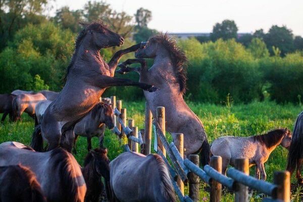 Foto: Jelgavas pilsētas pašvaldība