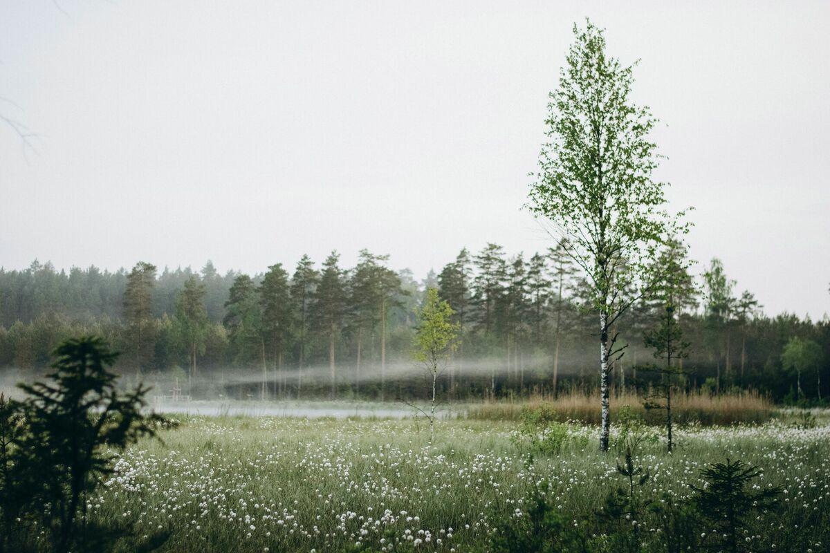 Foto: Unsplash
