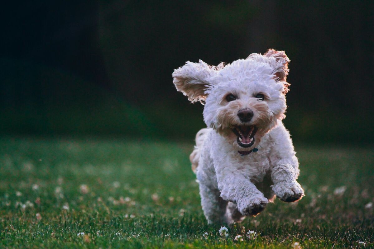 Foto: Unsplash