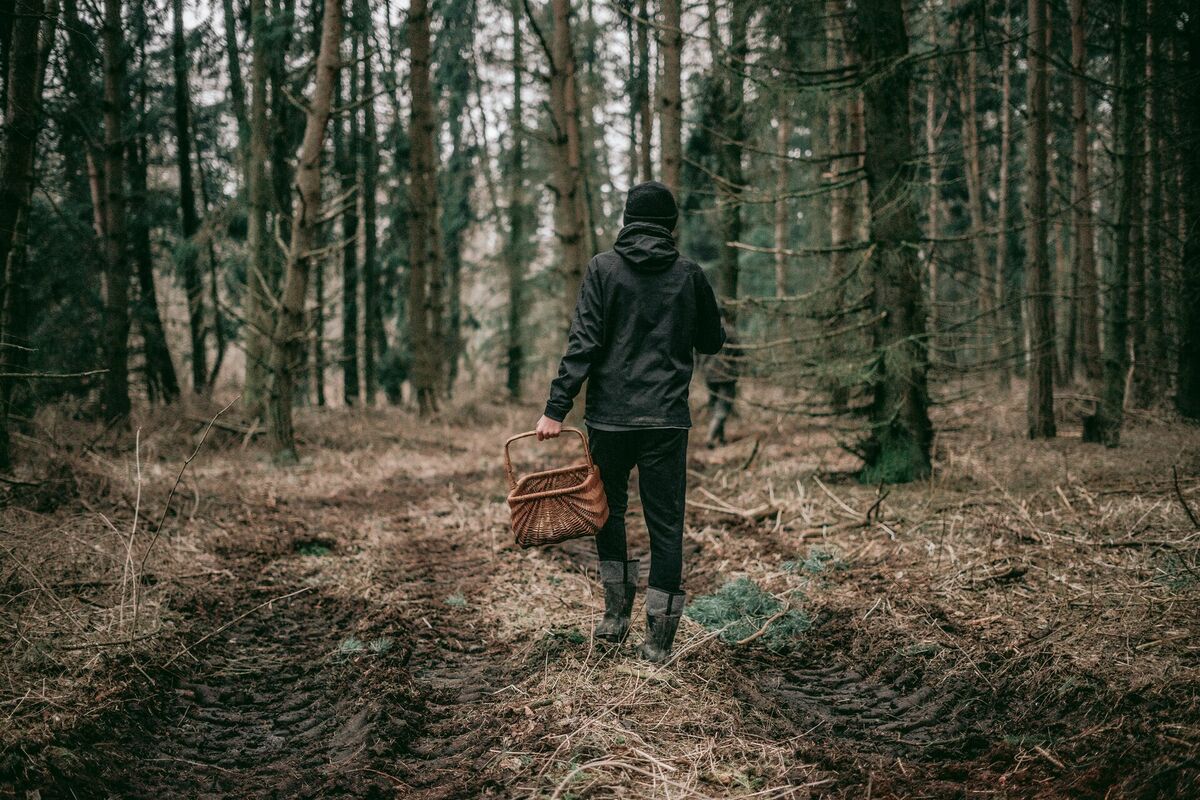 Foto: Unsplash