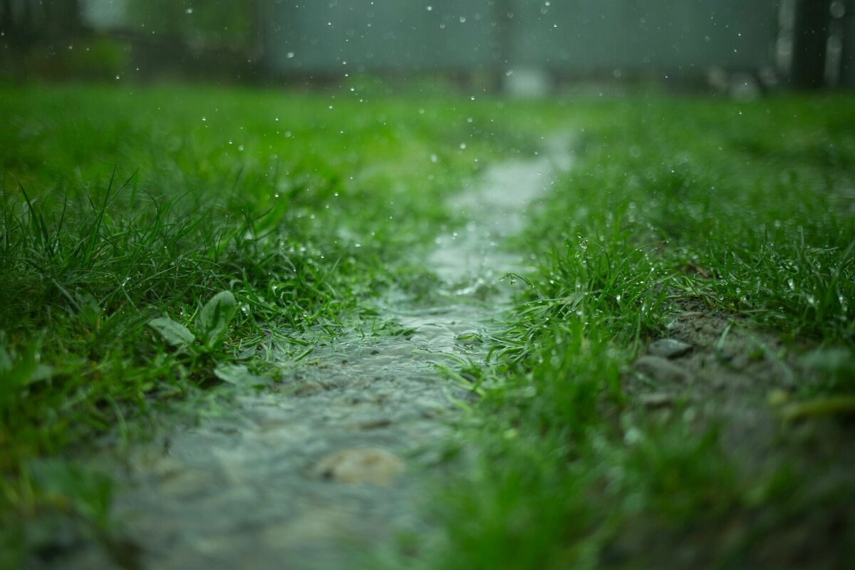 Foto: Unsplash