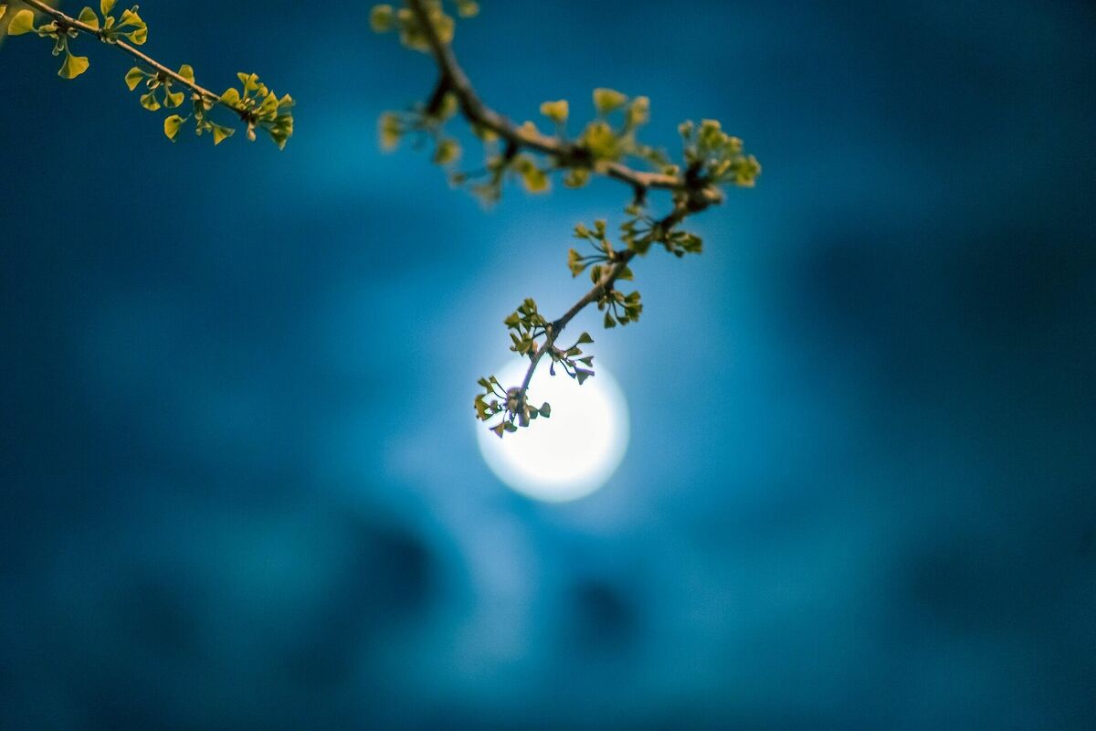 Foto: Pixabay