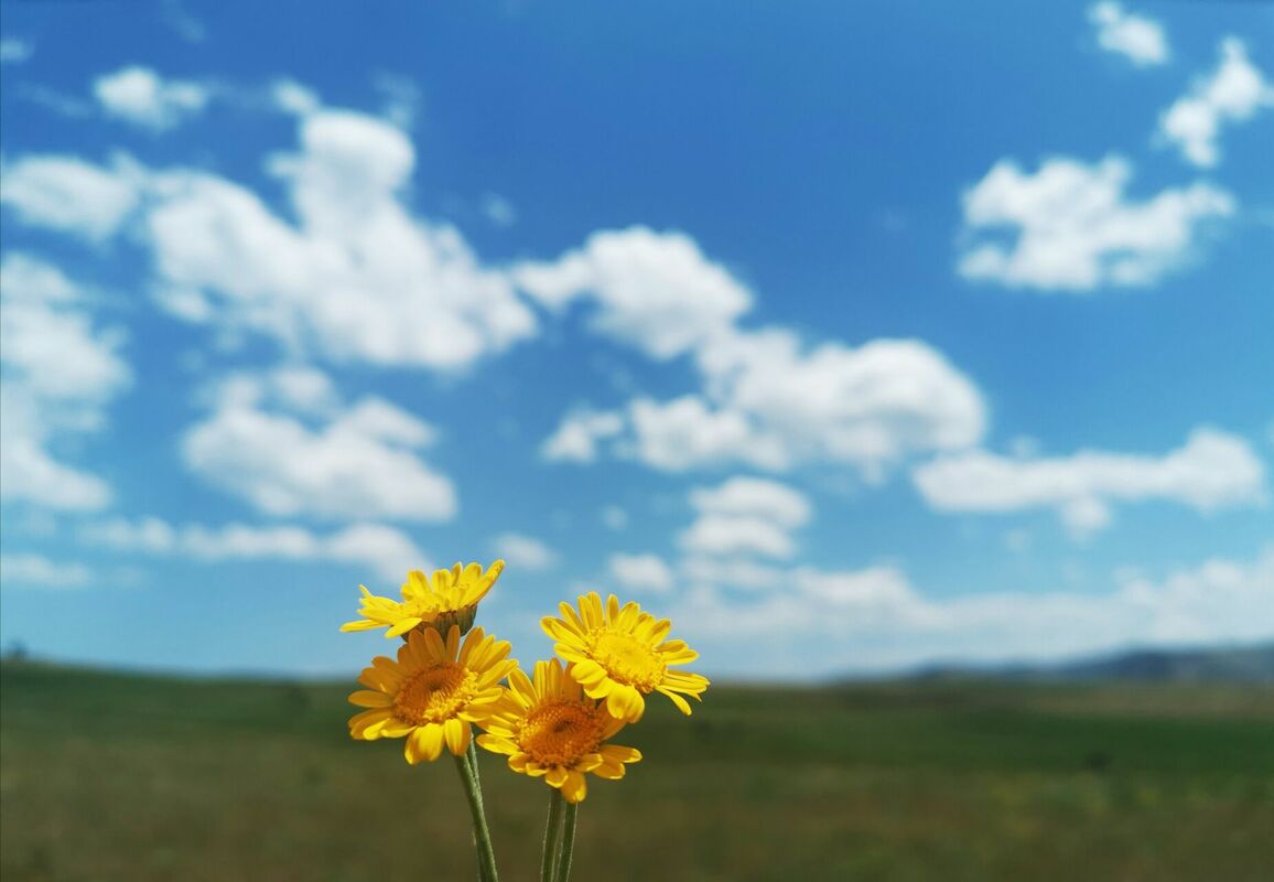 Foto: Unsplash