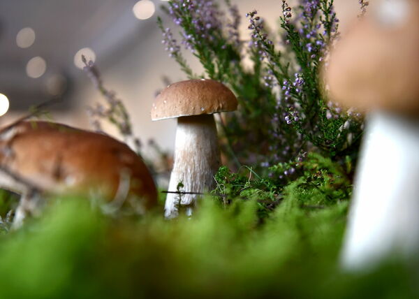 Foto: Zabe Bitere/LETA