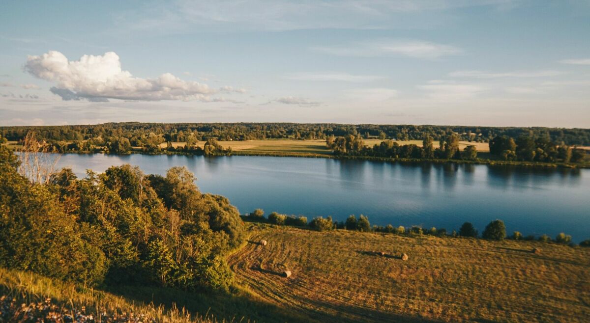 Foto: Unsplash
