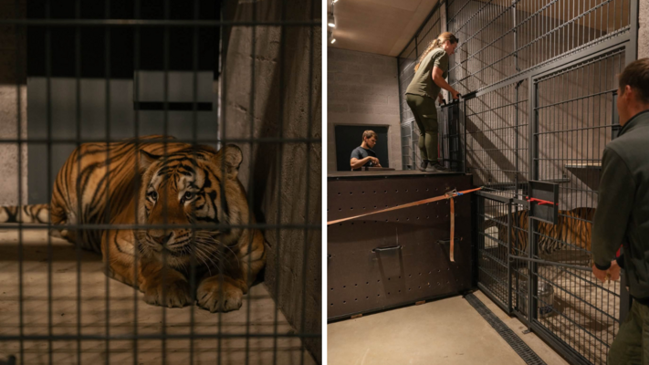 Foto: Siguldas zoo