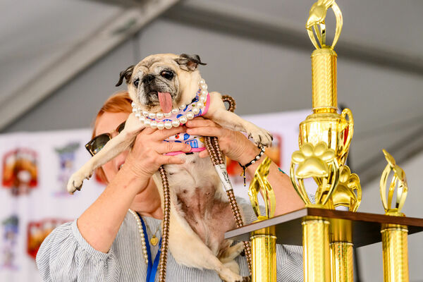 Foto: scanpix/AP Photo/Noah Berger)