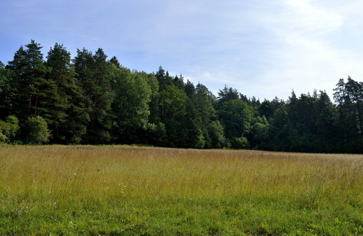 Foto: Zane Bitere/LETA