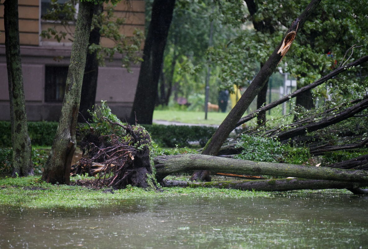 Foto: Zane Bitere/LETA