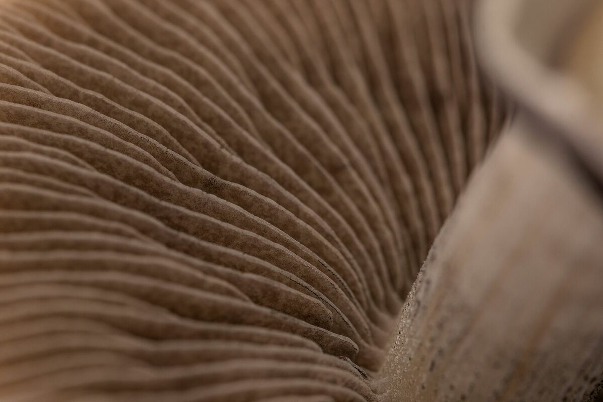 Ilustratīvs attēls. Foto: Unsplash