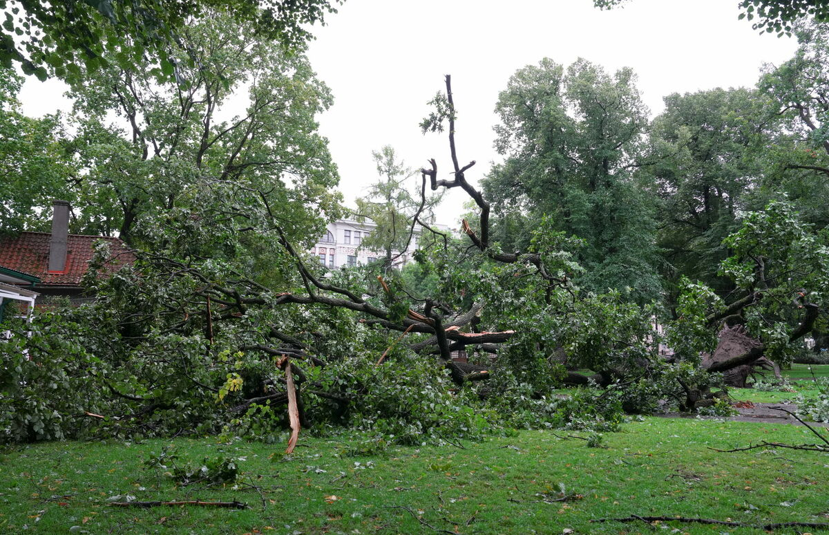 Rīga. Foto: Ieva Leiniša/LETA