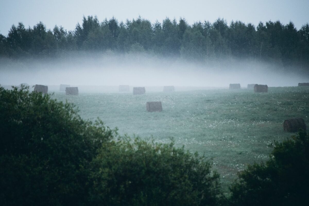 Anna Kovaļova. Foto: Unsplash