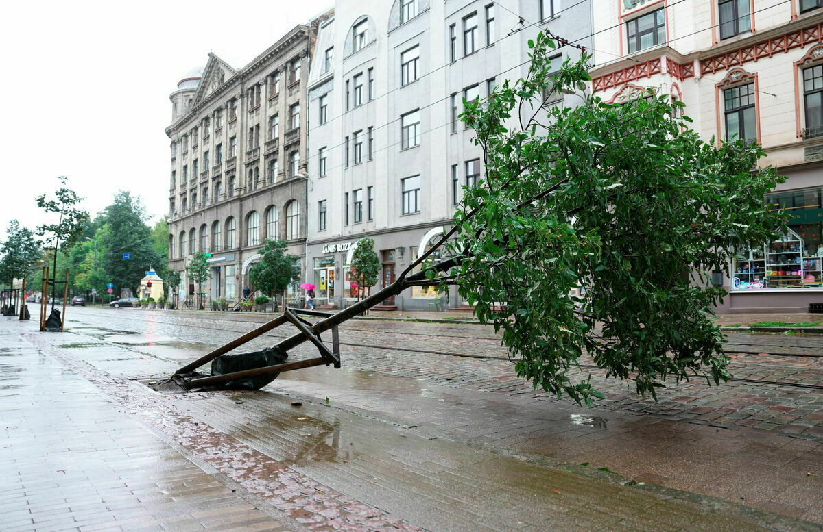 Foto: Ieva Leiniša/LETA