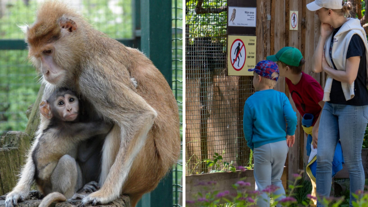 Foto: Rīgas Zoo
