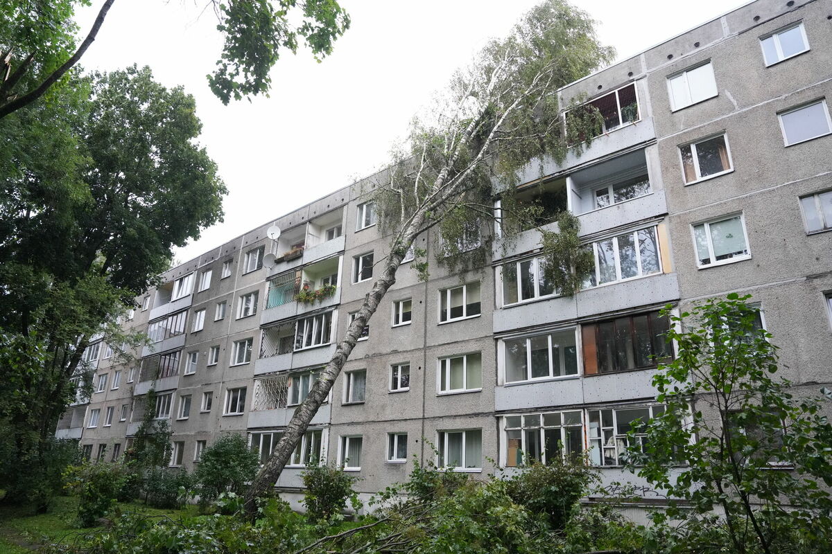 Foto: Edijs Pālens/LETA