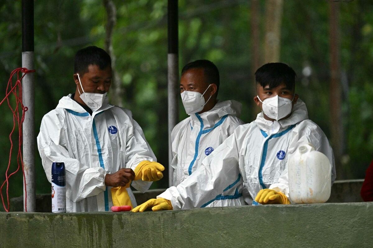Foto: scanpix/Pedro PARDO / AFP