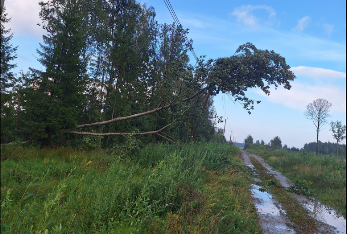 Foto: Sadales tīkls