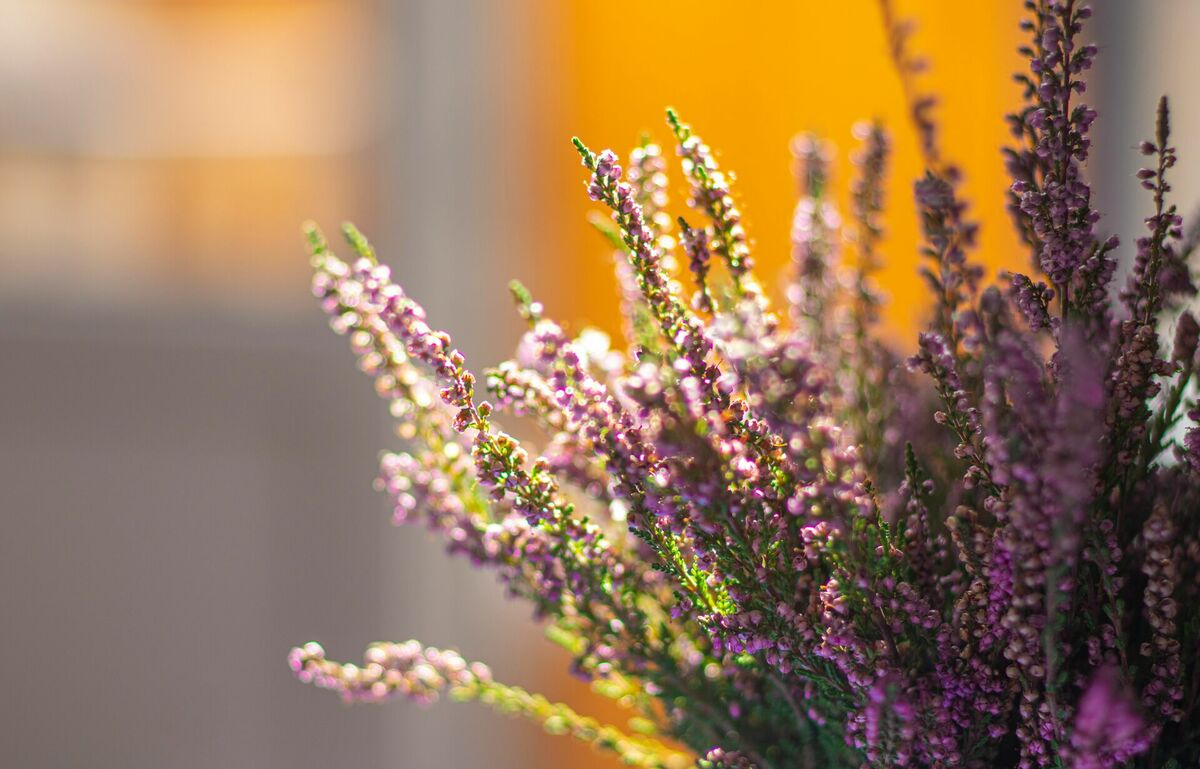 Foto: Unsplash