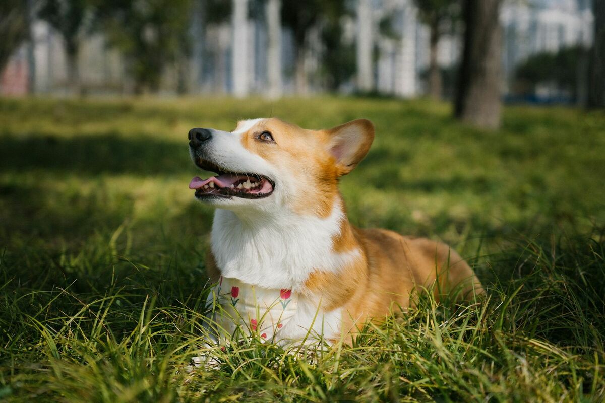 Foto: Unsplash