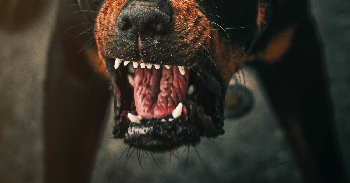 Foto: Unsplash