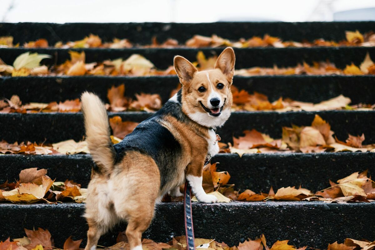 Foto: Unsplash