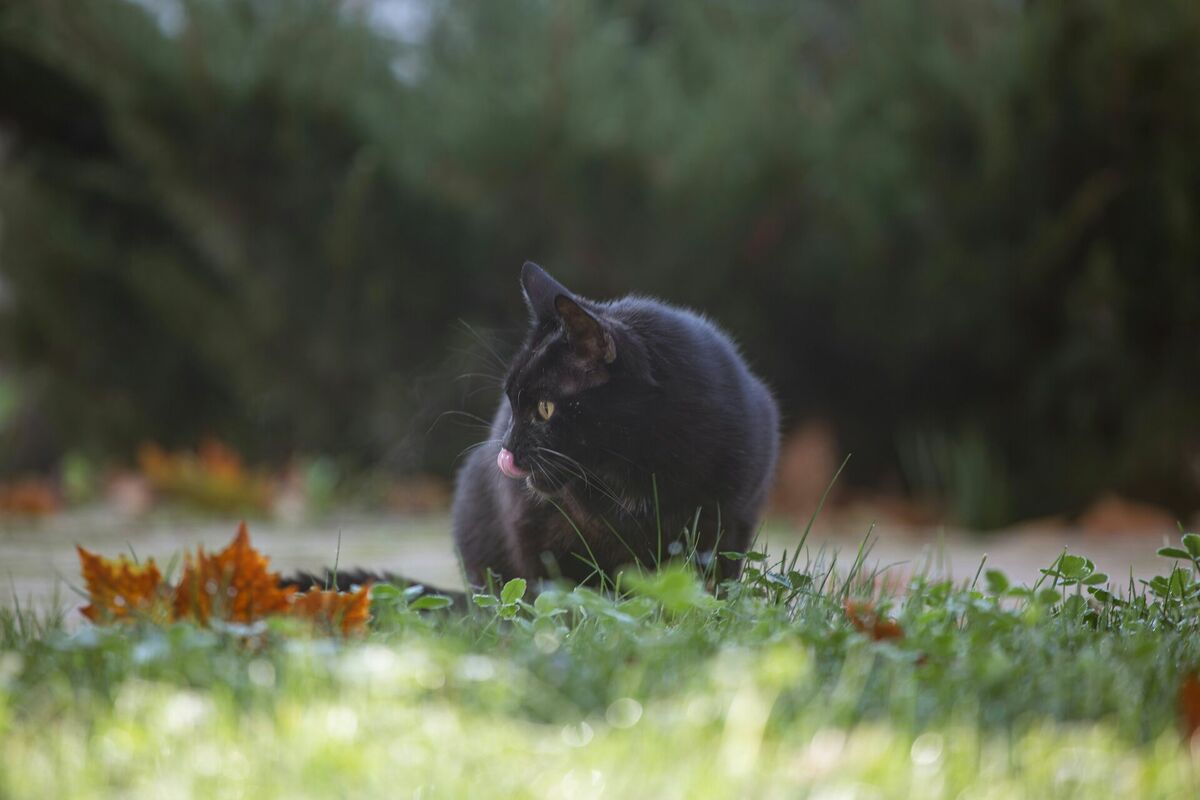 Foto: Unsplash