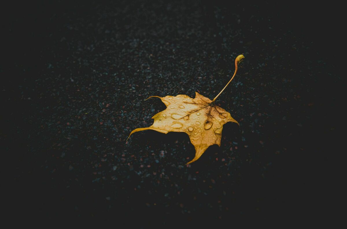Foto: Unsplash
