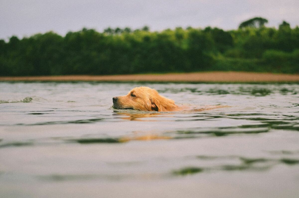 Foto: Unsplash
