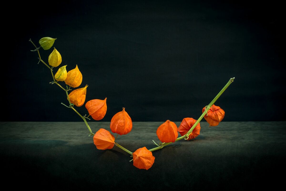 Foto: Pexels