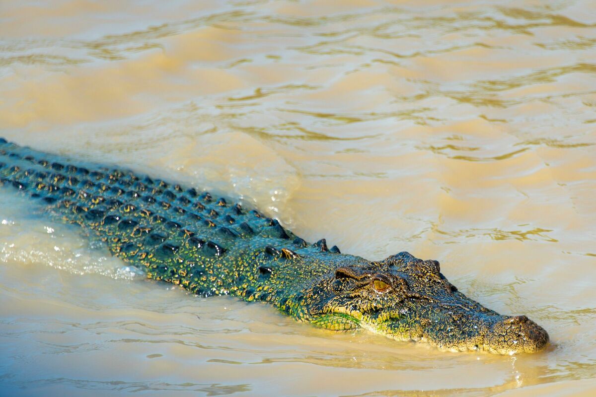 Foto: scanpix/Alamy