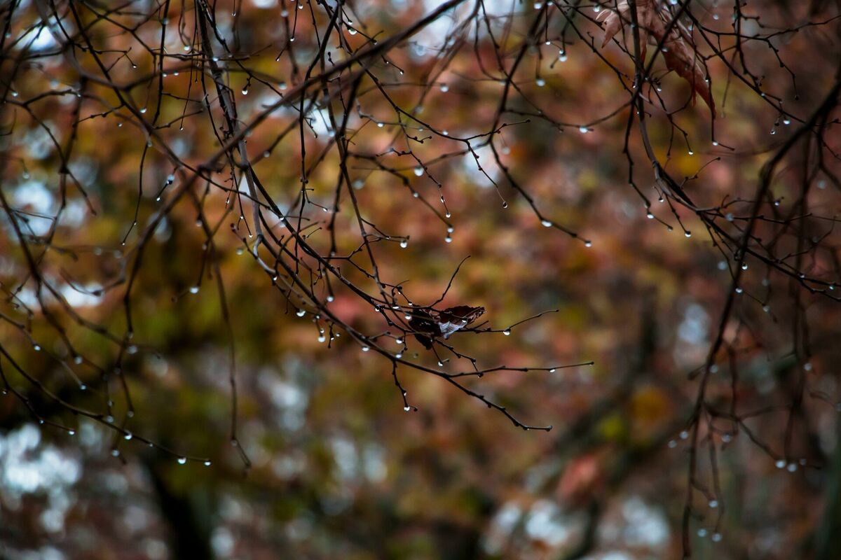 Foto: Unsplash