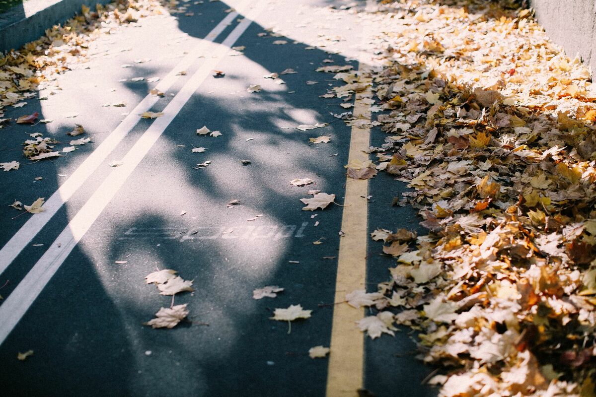 Foto: Pexels