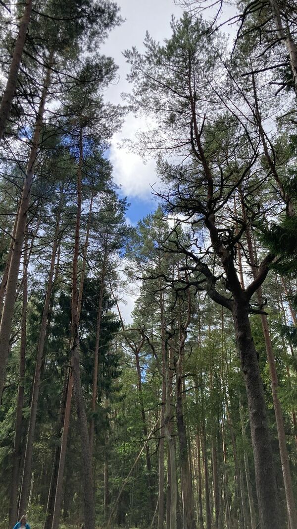 Foto: 360 Ziņas