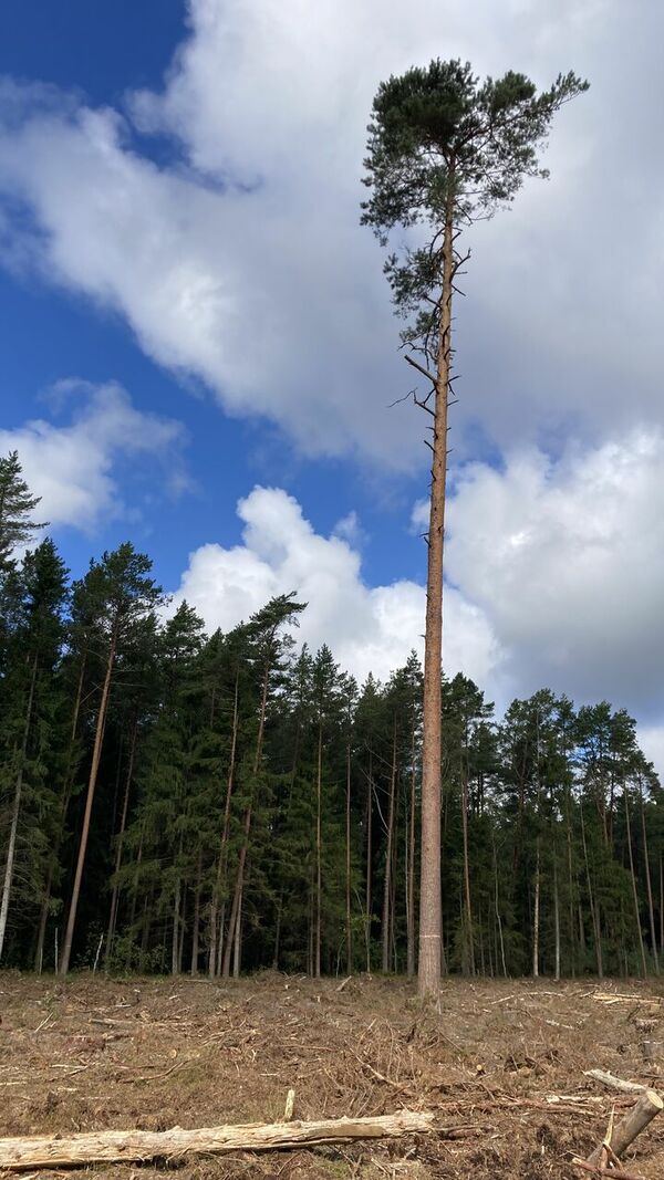 Foto: 360 Ziņas