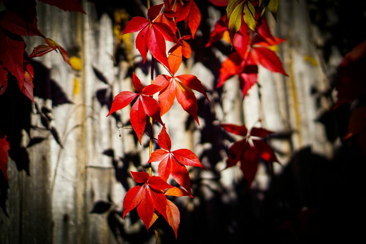 Foto: Unsplash