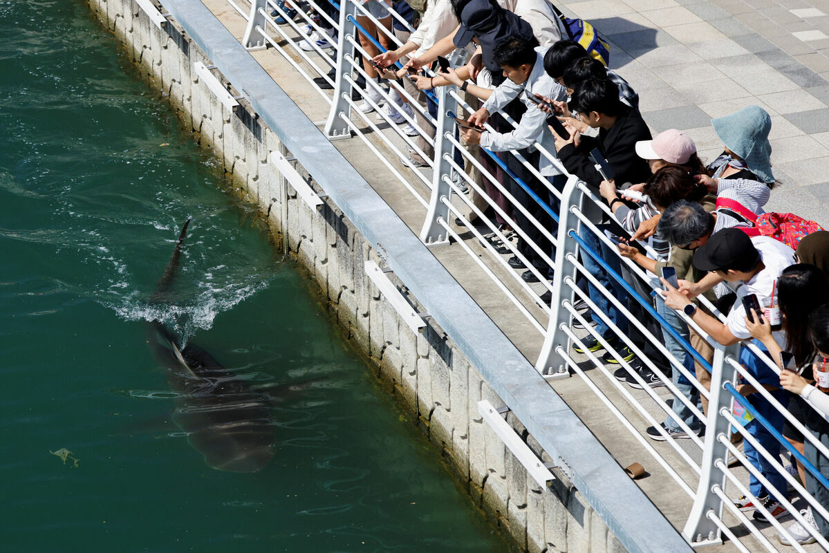 Foto: Reuters/Scanpix