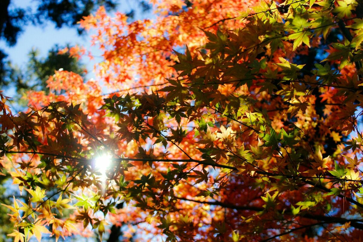Foto: Unsplash