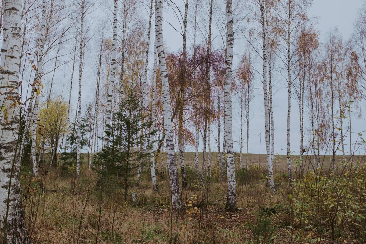 Foto: Unsplash
