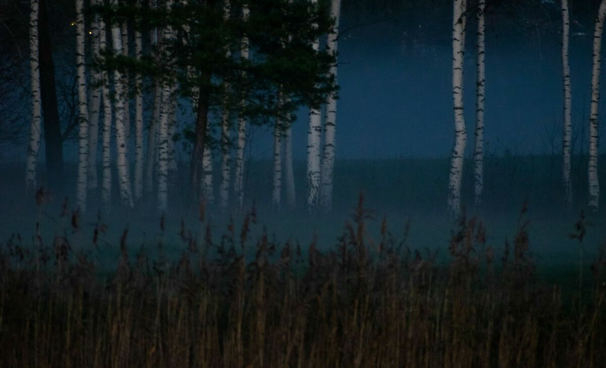 Foto: Kristīne Kozaka/Unsplash