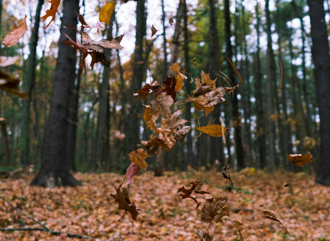 Foto: Unsplash