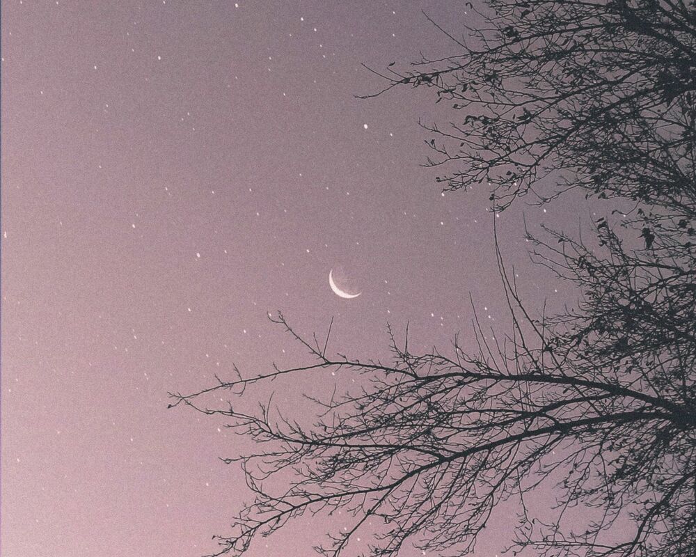 Foto: Unsplash